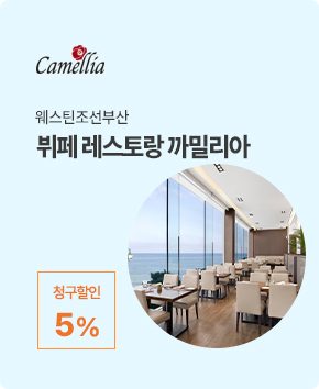 신규 브랜드 배너